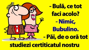 BANC | Bulă, Bubulina și certificatul de căsătorie