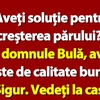 BANC | Bulă vrea o soluție pentru creșterea părului