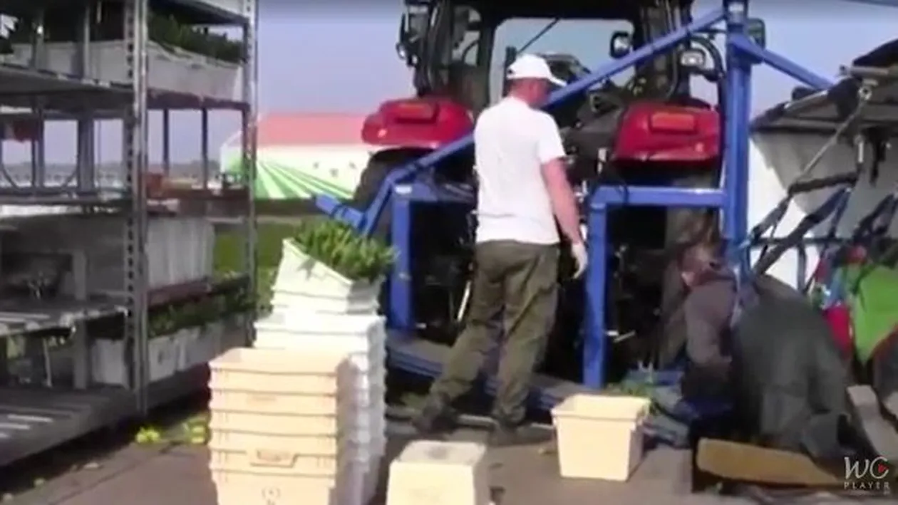 Românii vor fi interziși în mai multe orașe din Olanda! Nici polonezii nu au o soartă mai bună