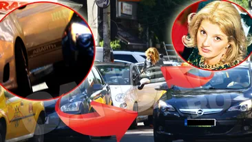 Ioana Basescu si-a scos herghelia la plimbare! 150 de cai au alergat pentru ea si pentru cumparaturile ei!