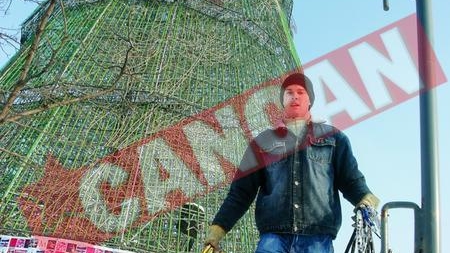 Bradul urias din Piata Unirii pleaca in Brazilia si Portugalia