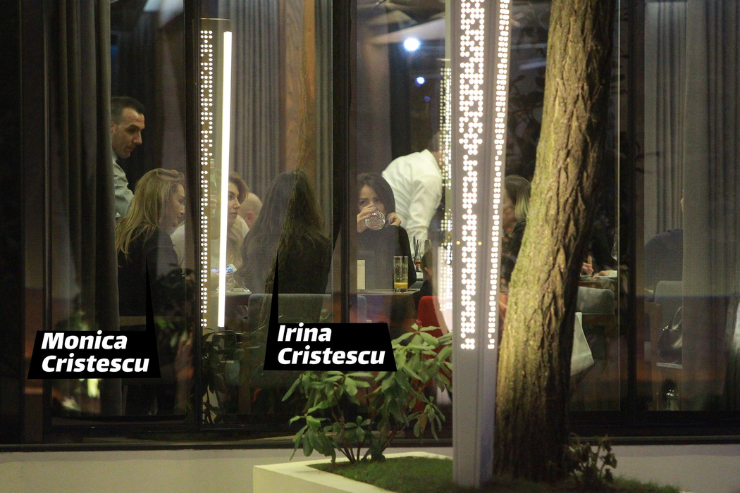 Irina și Monica Cristescu, moștenitoarele OPTICRIS