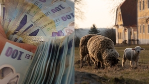 Cât va costa carnea de miel în 2026. Alimentul se scumpește înainte de Paște