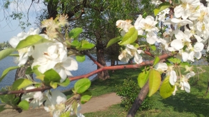 METEO 3 MARTIE! Valorile de temperatură vor fi în majoritatea zonelor mult mai ridicate 