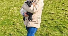 Galerie foto - poza 3