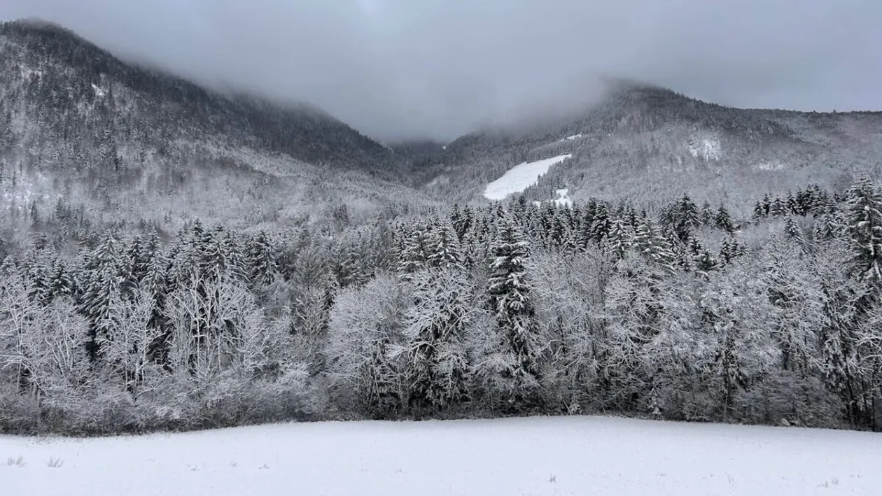 Un vortex polar se abate asupra României iarna aceasta! Temperaturile vor coborî sub -20 de grade Celsius