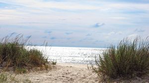 Plajă gratis, în România! Aici poţi veni fără să dai un leu, sunt hectare de plajă