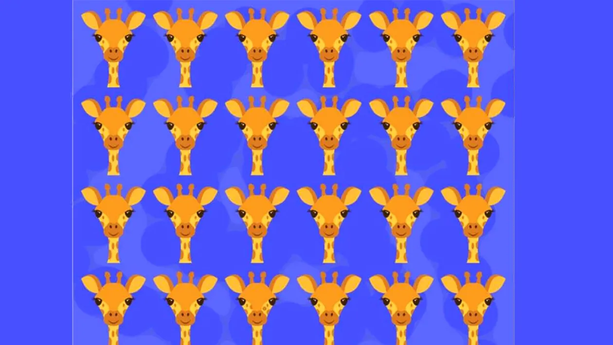 Test de logică | Care dintre cele 24 de girafe este diferită de celelalte 23?