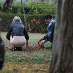 Imagine Galerie #2