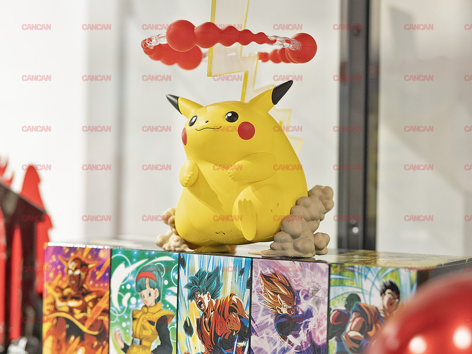 Locul în care cartonașele Pokémon adună laolaltă copii și adulți.