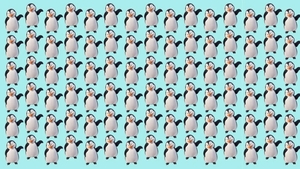 Test de logică | Găsiți singurul pinguin care nu seamănă cu ceilalți!