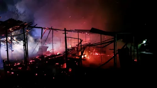 Incendiu puternic la un adăpost de animale din Dâmbovița! Îngrijitoarea intoxicată, zeci de animale moarte