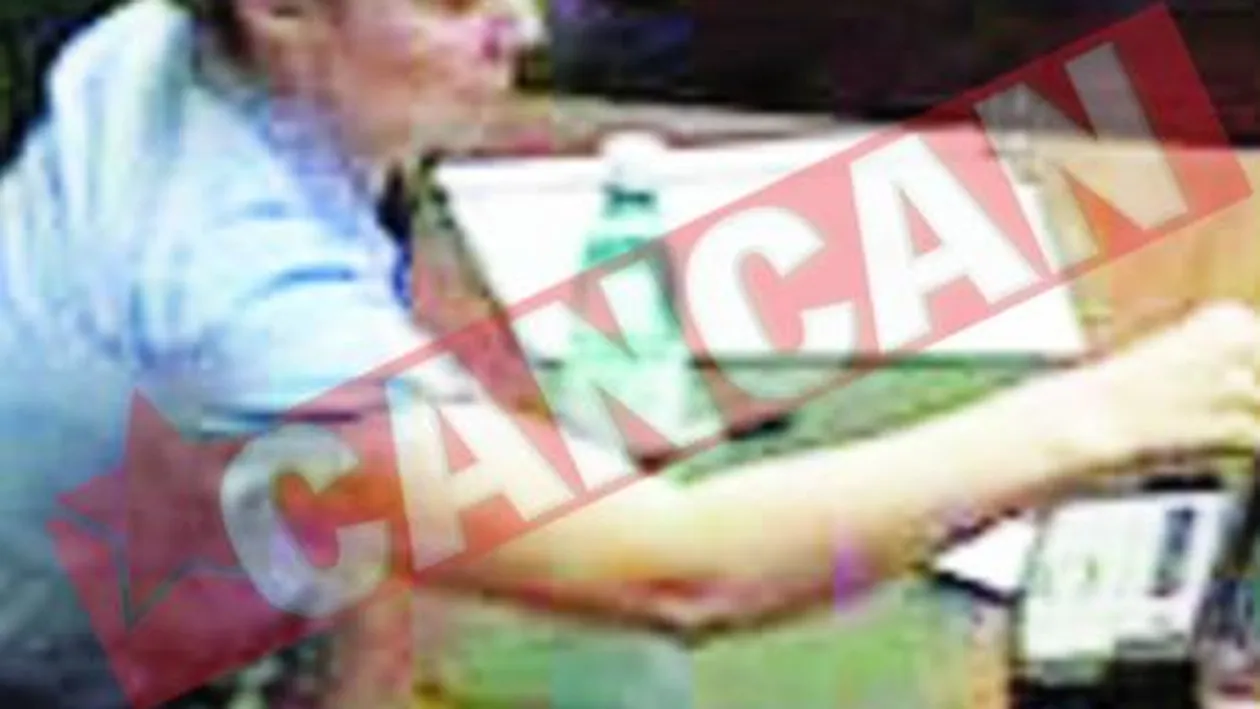 Presiuni pentru angajarea nepoatei Noricai Nicolai la Penitenciare