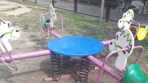 Locuitorii din Râmnicu Vâlcea, terorizați de acte de vandalism în serie