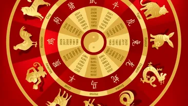 Zodiile care au noroc cu carul în anul Calului De Foc 2026. Belșugul bate la ușă