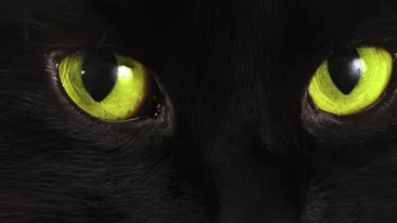 Pentru studenti sunt de aur! Superstitiile care te ajuta sa iei note bune la examene!