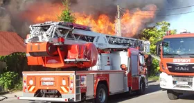 Galerie foto - poza 3