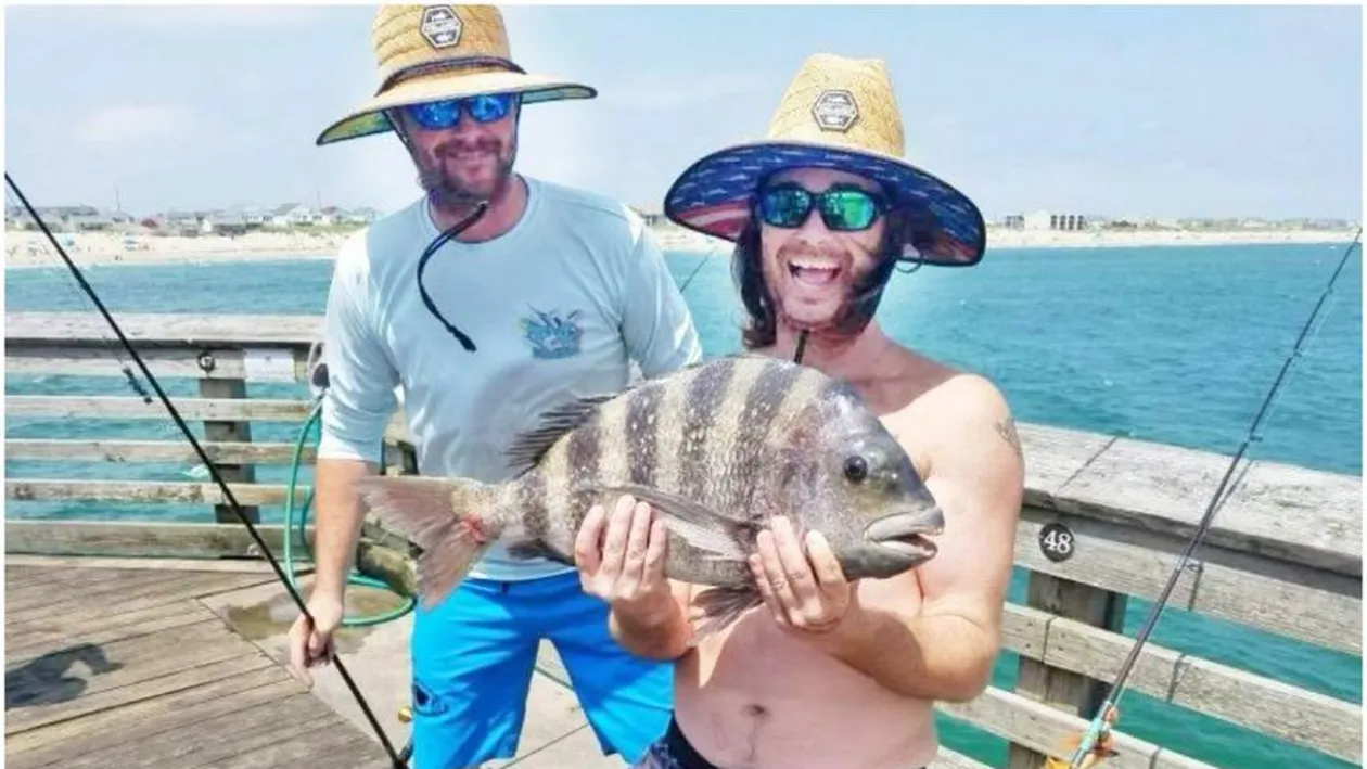 Descoperire rară. Un pește cu dinți umani a fost prins în Carolina de Nord