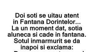 BANC | Doi soți, la Fântâna Dorințelor. La un moment dat, soția alunecă și cade în fântănă