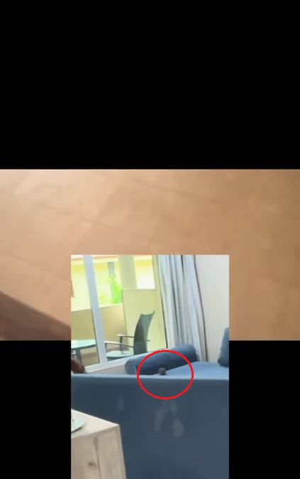 Turiștii s-au „luptat” cu un șobolan în camera de hotel / captură video