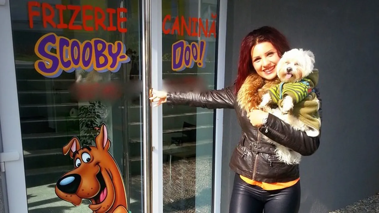 A lasat volanul pentru un salon de lux pentru catei!