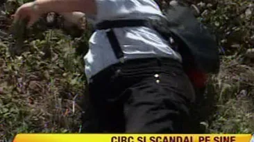 Maria Carneci a facut legea in tren! Imbracata in controlor, cantareata i-a aruncat pe pasagerii fara bilet afara! Uite ce greata are in ea!