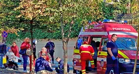 Galerie foto - poza 4