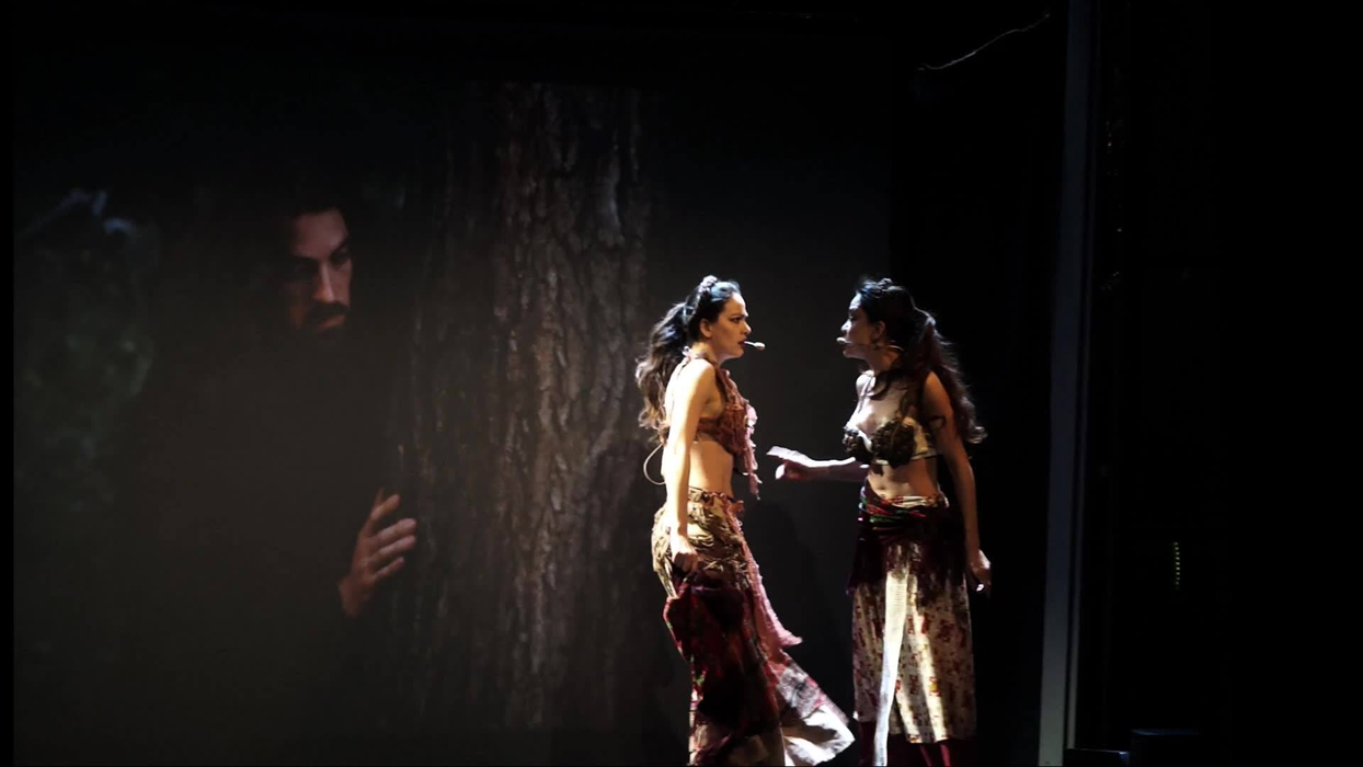 Trecutul lor e rușinos, dar prezentul este strălucitor! Gemenele de la Indiggo au un musical pe Broadway, realizat după cartea scrisă de una dintre surori