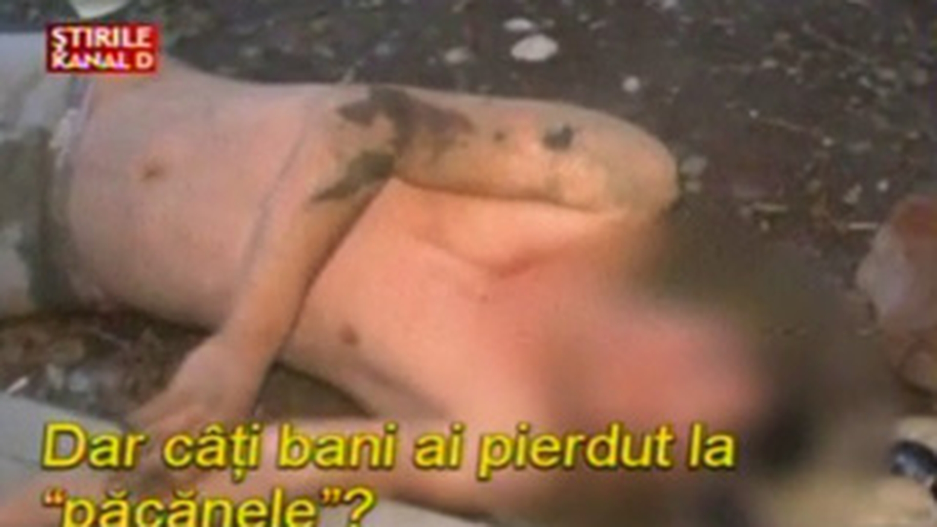 NU TE BAGA cub pacanel