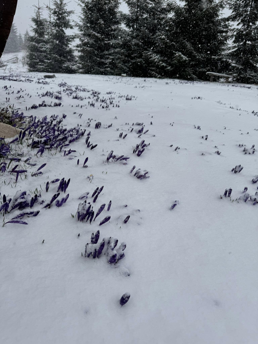 Se prelungește vremea rea! Temperaturile ajung la -10 grade. Câte zile de iarnă vom avea