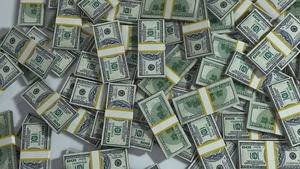 Banc | Am plecat cu 2000 mii de euro și 30.000 de lei