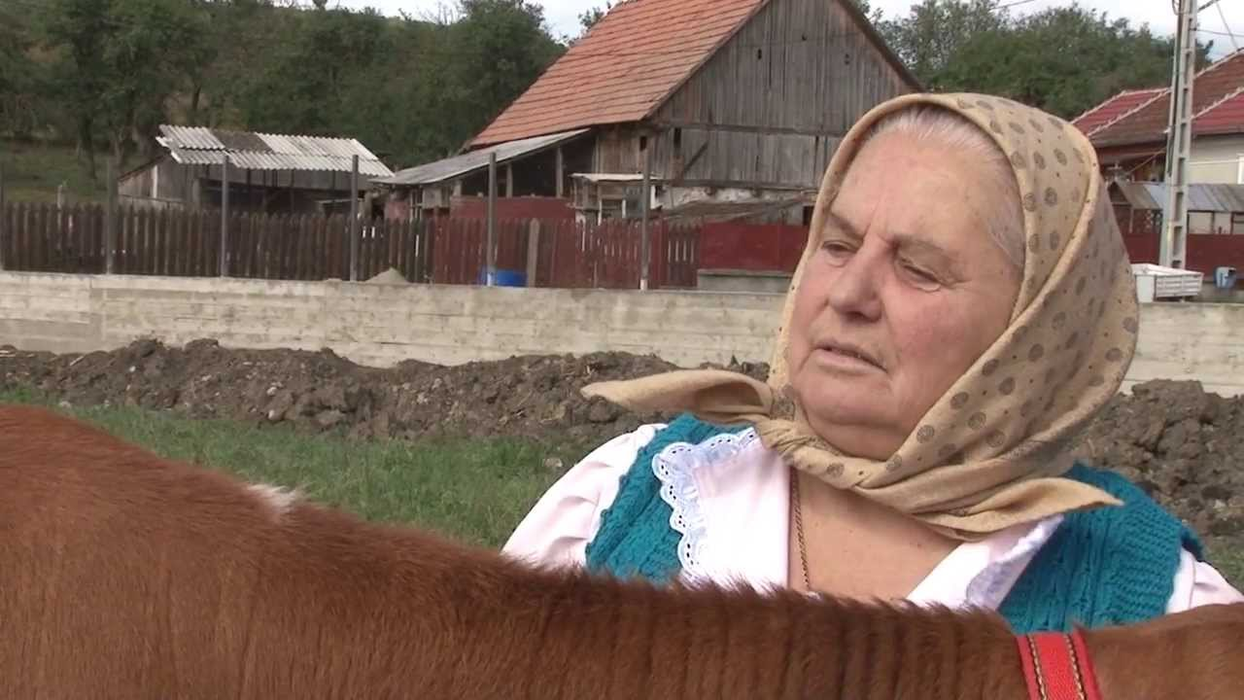 Aurel Tămaș și tant Lenuța, Masterchefii din Ardeal
