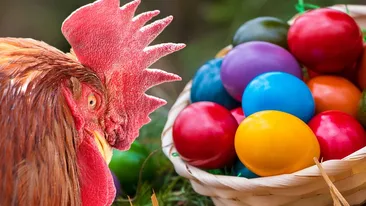 BANCUL ZILEI | Ce face cocoșul în prima zi de Paște?!