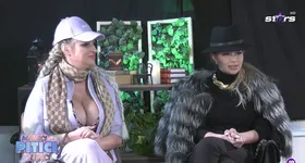 Galerie foto - poza 3