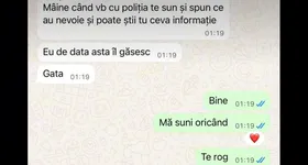 Galerie foto - poza 2