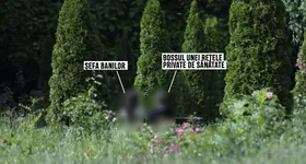 Galerie foto - poza 3