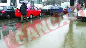 Trafic de cosmar in Capitala si balti la tot pasul