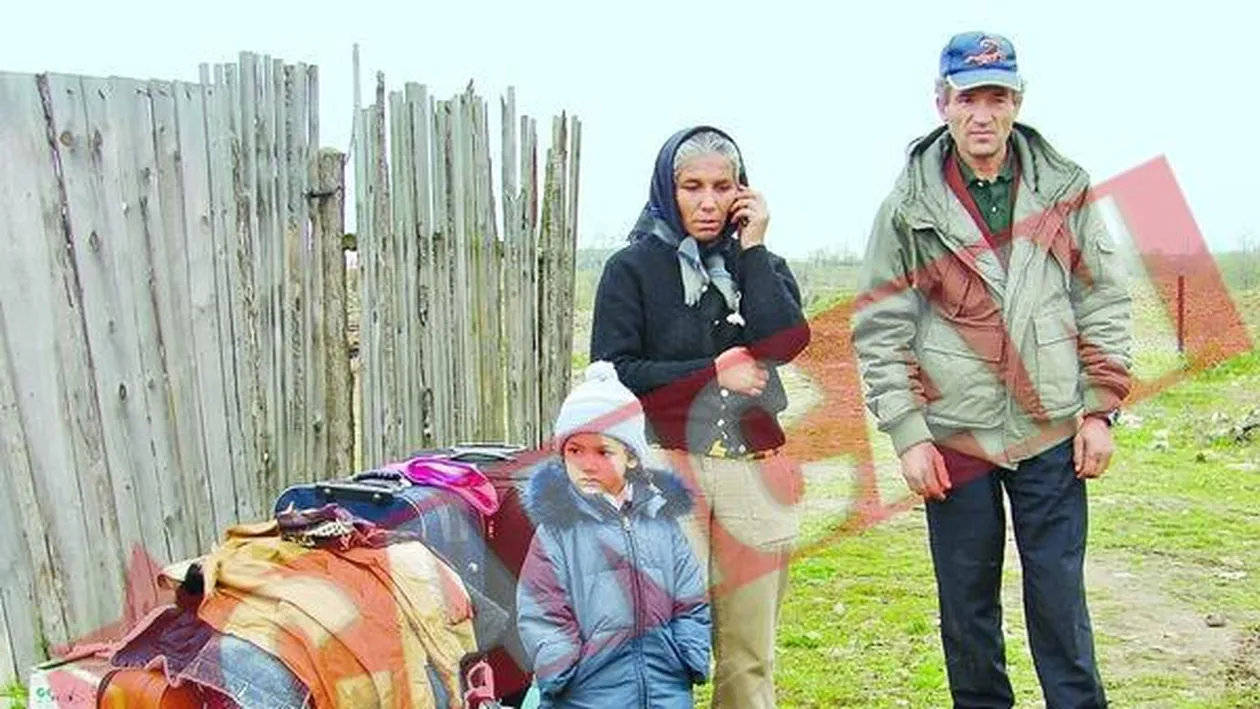 Romanii din Italia sunt buni doar ca donatori de organe