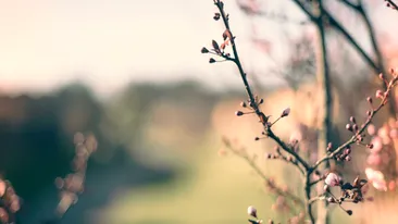 Prognoza meteo azi, 5 martie 2026. Vreme rece in Transilvania: temperaturile scad spre 0 grade in zona Carpatilor