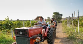 Galerie foto - poza 2