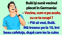 BANC | Bulă își sună vecinul plecat în Germania