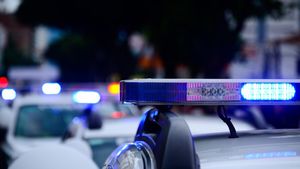 O femeie de afaceri din Ilfov, condamnată la 22 de ani de închisoare după ce și-a ucis mama. Crima a avut loc în urmă cu 15 ani