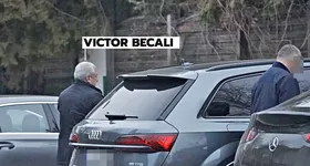 Galerie foto - poza 3