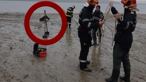 Misiune dificilă și inedită pentru pompierii din Argeș. Au salvat un cal "îngropat" în mâl - VIDEO