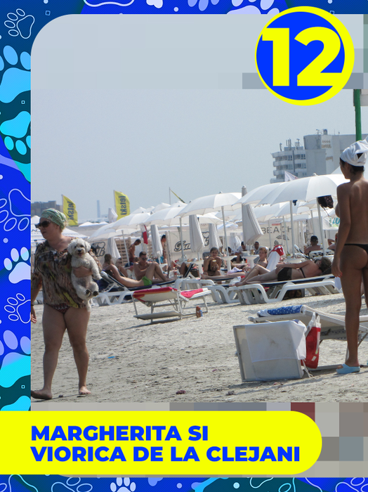Top 25 vedete care și-au etalat costumele de baie, dar cățeii lor au făcut senzaţie! Delia, Bianca Drăgușanu sau Lora, eclipsate de patrupezi la malul mării