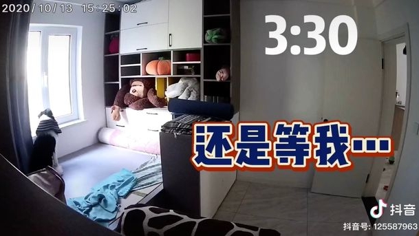 Îți dau lacrimile! Cum își aștepta un cățel stăpâna să vină acasă, după 10 ore. VIDEO