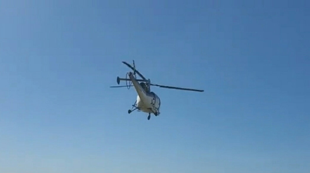 Rudele fetei de 11 ani, dispărută în Dâmbovița: ”A fost răpită!”. Minora este căutată cu drone, elicopter, câini polițiști și 200 de polițiști