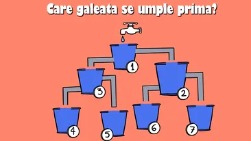 Test de logică | Care dintre cele 7 găleți se va umple prima cu apă?