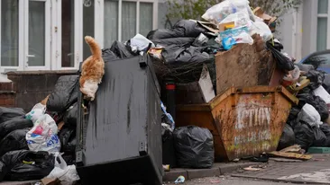 Cum a ajuns România să importe gunoiul Europei. Mecanismele care au deschis larg porțile pentru deșeuri