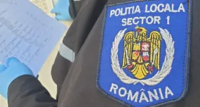 Galerie foto - poza 3